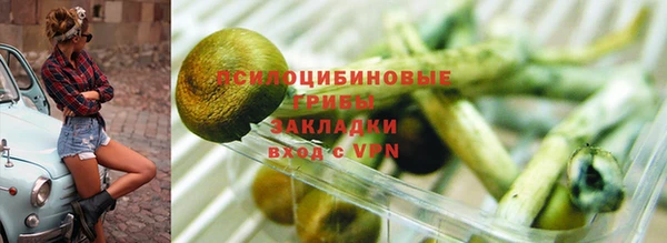 бошки Гусев