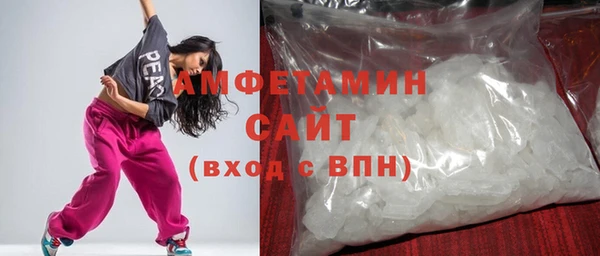 шишки Горно-Алтайск