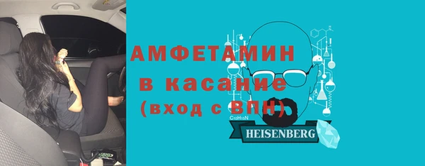 шишки Горно-Алтайск