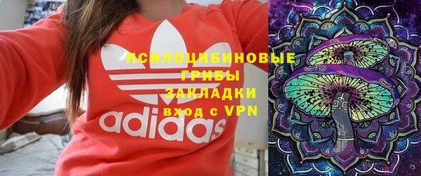 бошки Гусев