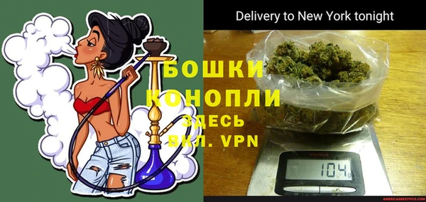 бошки Гусев