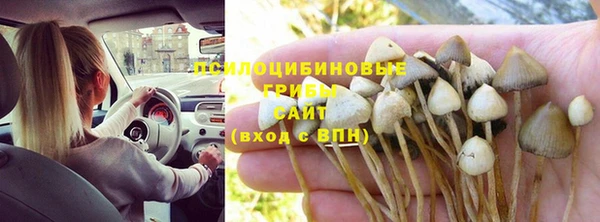 марки nbome Гусиноозёрск