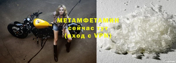 шишки Горно-Алтайск