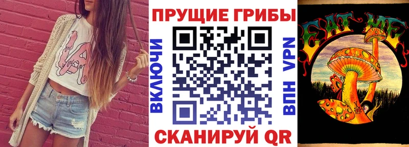blacksprut онион  дарнет шоп  Зеленогорск  Галлюциногенные грибы прущие грибы 